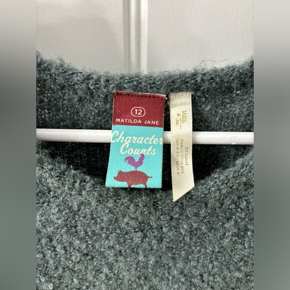 Vintage Matilda Jane Character Counts Vigilante Maya Dress pockets button fuzzy - Picture 9 of 10